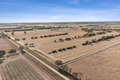 Mixed Farming For Sale - VIC - Calivil - 3573 - For Sale by Expressions of Interest – Closing Thursday 2nd April 2026 at 12pm  (Image 2)