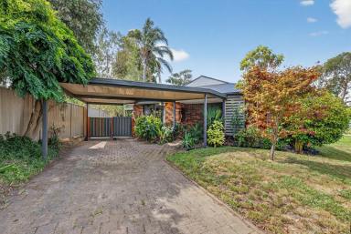 House For Sale - VIC - Sale - 3850 - Quiet Court Living with Expansive Alfresco and Workshop-Ready Shed  (Image 2)