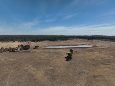 Mixed Farming For Sale - VIC - Gobarup - 3559 - Quality 200 - acre grazing and sown farming property  (Image 2)