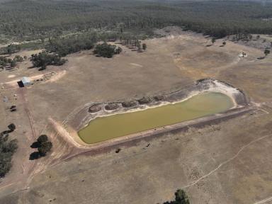 Mixed Farming For Sale - VIC - Gobarup - 3559 - Quality 200 - acre grazing and sown farming property  (Image 2)