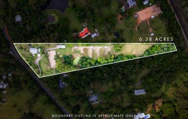 House For Sale - QLD - Cooroy - 4563 - Equestrian Lifestyle in the Heart of Cooroy - Noosa Hinterland  (Image 2)