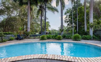 House For Sale - QLD - Cooroy - 4563 - Equestrian Lifestyle in the Heart of Cooroy - Noosa Hinterland  (Image 2)