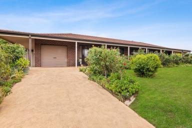 House For Sale - NSW - Mudgee - 2850 - YOUR NEXT HOME OR INVESTMENT OPPORTUNITY  (Image 2)