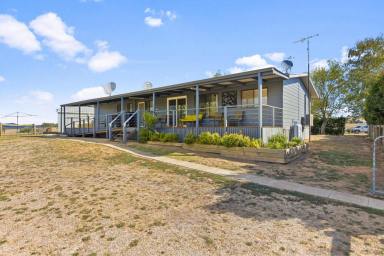 Lifestyle For Sale - NSW - Tumbarumba - 2653 - Rural lieftsyle and commercial opportunity*  (Image 2)