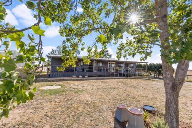 Lifestyle For Sale - NSW - Tumbarumba - 2653 - Rural lieftsyle and commercial opportunity*  (Image 2)