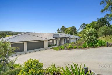 House For Sale - QLD - Kureelpa - 4560 - Contemporary Hinterland Masterpiece on Five Usable Acres  (Image 2)