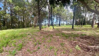 Residential Block For Sale - QLD - Macleay Island - 4184 - Prime 1239m² Waterfront Block!  (Image 2)