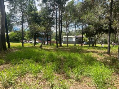 Residential Block For Sale - QLD - Macleay Island - 4184 - Absolute Waterfront — A Position That Speaks for Itself  (Image 2)