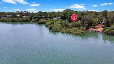 Residential Block For Sale - QLD - Macleay Island - 4184 - Absolute Waterfront — A Position That Speaks for Itself  (Image 2)