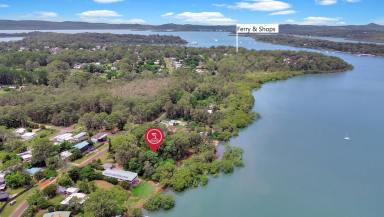 Residential Block For Sale - QLD - Macleay Island - 4184 - Absolute Waterfront — A Position That Speaks for Itself  (Image 2)