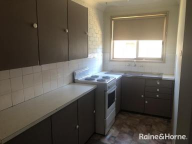 Unit For Lease - NSW - Kooringal - 2650 - QUIET AND COSY  (Image 2)