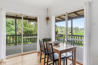 House Auction - WA - Bridgetown - 6255 - A Secluded Treehouse Retreat  (Image 2)