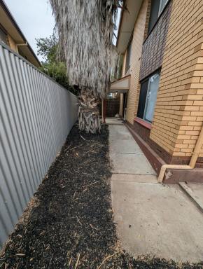 Unit Leased - SA - Woodville Gardens - 5012 - Rare Ground-Floor Unit with Huge Private Garden Opposite Arndale Shopping Centre!  (Image 2)