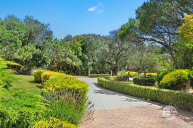 Acreage/Semi-rural For Sale - VIC - Rye - 3941 - A Masterpiece of Late-Century Modern Elegance (Image 2)