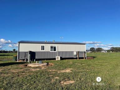 Unit For Lease - VIC - Tarrawingee - 3678 - Affordable Rural Living  (Image 2)