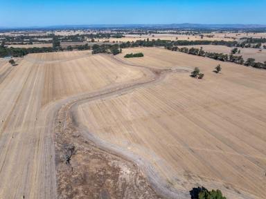 Cropping For Sale - VIC - Tabilk - 3607 - PREMIUM CROPPING OPPORTUNITY  (Image 2)