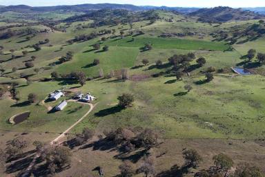 Mixed Farming For Sale - NSW - Bigga - 2583 - High-Rainfall Livestock Breeding & Grazing Enterprise in the Southern Tablelands (Image 2)