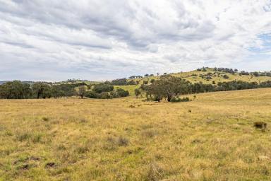 Mixed Farming For Sale - NSW - Bigga - 2583 - High-Rainfall Livestock Breeding & Grazing Enterprise in the Southern Tablelands  (Image 2)