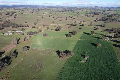 Mixed Farming For Sale - NSW - Bigga - 2583 - High-Rainfall Livestock Breeding & Grazing Enterprise in the Southern Tablelands (Image 2)