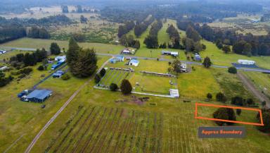 Residential Block For Sale - TAS - Waratah - 7321 - West Coast Wilderness  (Image 2)