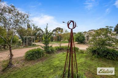 Other (Rural) For Sale - VIC - Moonambel - 3478 - 49.46 Acres of Lifestyle Freedom – Walk-In Walk-Out Opportunity with Exceptional Infrastructure  (Image 2)