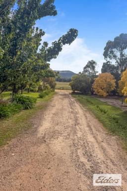 Other (Rural) For Sale - VIC - Moonambel - 3478 - 49.46 Acres of Lifestyle Freedom – Walk-In Walk-Out Opportunity with Exceptional Infrastructure  (Image 2)