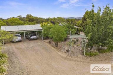 Other (Rural) For Sale - VIC - Moonambel - 3478 - 49.46 Acres of Lifestyle Freedom – Walk-In Walk-Out Opportunity with Exceptional Infrastructure  (Image 2)