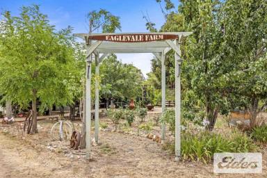 Other (Rural) For Sale - VIC - Moonambel - 3478 - 49.46 Acres of Lifestyle Freedom – Walk-In Walk-Out Opportunity with Exceptional Infrastructure  (Image 2)