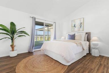 Unit For Lease - NSW - Keith Hall - 2478 - Private Studio Living All Bills Included Equestrian Property Setting  (Image 2)