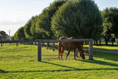 Lifestyle Auction - QLD - Ramsay - 4358 - "CALLISTO PARK"  (Image 2)