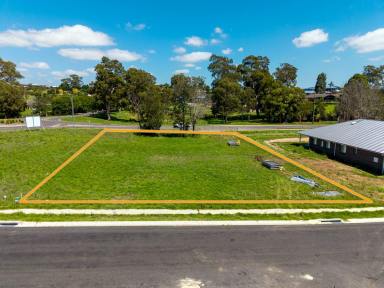 Residential Block For Sale - NSW - Bega - 2550 - 1,533 SQM - ZONED R3  (Image 2)
