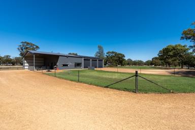Acreage/Semi-rural For Sale - NSW - Temora - 2666 - RARE FIVE-ACRE FIND  (Image 2)