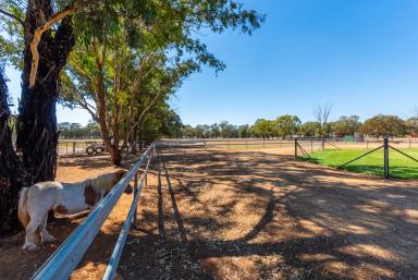 Acreage/Semi-rural For Sale - NSW - Temora - 2666 - RARE FIVE-ACRE FIND  (Image 2)