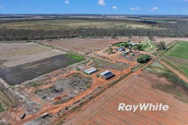 Cropping For Sale - VIC - Boort - 3537 - Exceptional Federation Homestead on 409 Ha (1,010 Acres) - Prime Irrigation Country, Boort District  (Image 2)