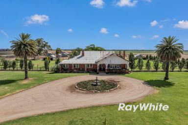 Cropping For Sale - VIC - Boort - 3537 - Exceptional Federation Homestead on 409 Ha (1,010 Acres) - Prime Irrigation Country, Boort District  (Image 2)