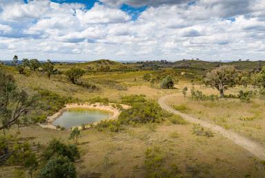 Lifestyle For Sale - NSW - Gunning - 2581 - 200 Acres of Peaceful Rural Living in Prime Merino Country (Image 2)