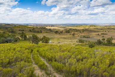 Lifestyle For Sale - NSW - Gunning - 2581 - 200 Acres of Peaceful Rural Living in Prime Merino Country (Image 2)