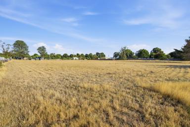 Residential Block For Sale - TAS - Ross - 7209 - WELCOME HOME! (Image 2)