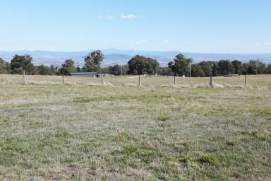 Residential Block For Sale - VIC - Tolmie - 3723 - Spectacular High Country Mountain Views in a Rural Living Zone!  (Image 2)