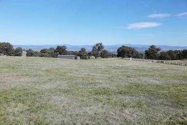 Residential Block For Sale - VIC - Tolmie - 3723 - Spectacular High Country Mountain Views in a Rural Living Zone! (Image 2)