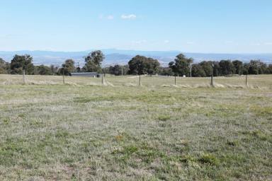 Residential Block For Sale - VIC - Tolmie - 3723 - Spectacular High Country Mountain Views in a Rural Living Zone! (Image 2)