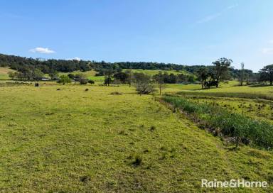 Acreage/Semi-rural For Lease - NSW - Toolijooa - 2534 - Land Only with Sheds  (Image 2)