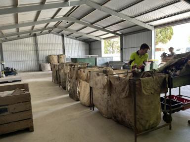 Business For Sale - SA - Warooka - 5577 - Established Recycling Business with Freehold & Growing Profits  (Image 2)