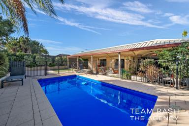 House Sold - WA - Banksia Grove - 6031 - CHAMRING FAMILY HOME WITH SWIMMING POOL  (Image 2)