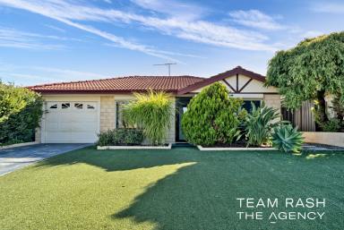 House Sold - WA - Banksia Grove - 6031 - CHAMRING FAMILY HOME WITH SWIMMING POOL  (Image 2)