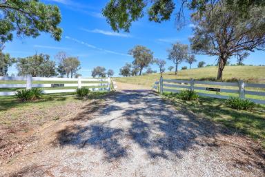 Lifestyle Auction - NSW - Tamworth - 2340 - ‘Green Hills’ A Beautiful Lifestyle Opportunity Overlooking The Peel Valley Region (Image 2)