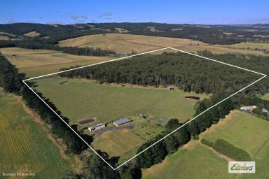 Mixed Farming For Sale - VIC - Binginwarri - 3966 - "HEDLEY RANGE".....SOUTH GIPPSLAND  (Image 2)