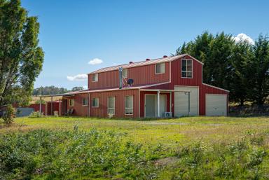 Mixed Farming Auction - NSW - Taralga - 2580 - Surprise Package "Mountain View"  (Image 2)