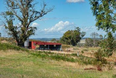 Mixed Farming Auction - NSW - Taralga - 2580 - Surprise Package "Mountain View"  (Image 2)