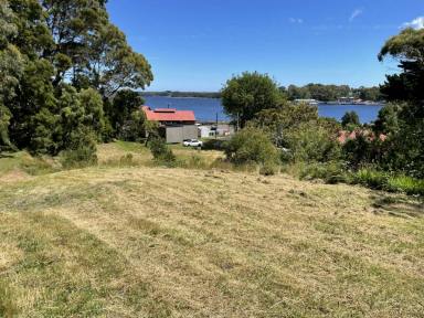 Residential Block For Sale - TAS - Strahan - 7468 - Harbour The Dream  (Image 2)